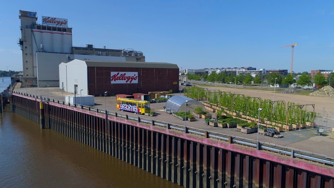 View of the old Kellogg's site, where the new urban quarter Überseeinsel is to be built. In the foreground you can see an area where hops and vegetables are grown.
