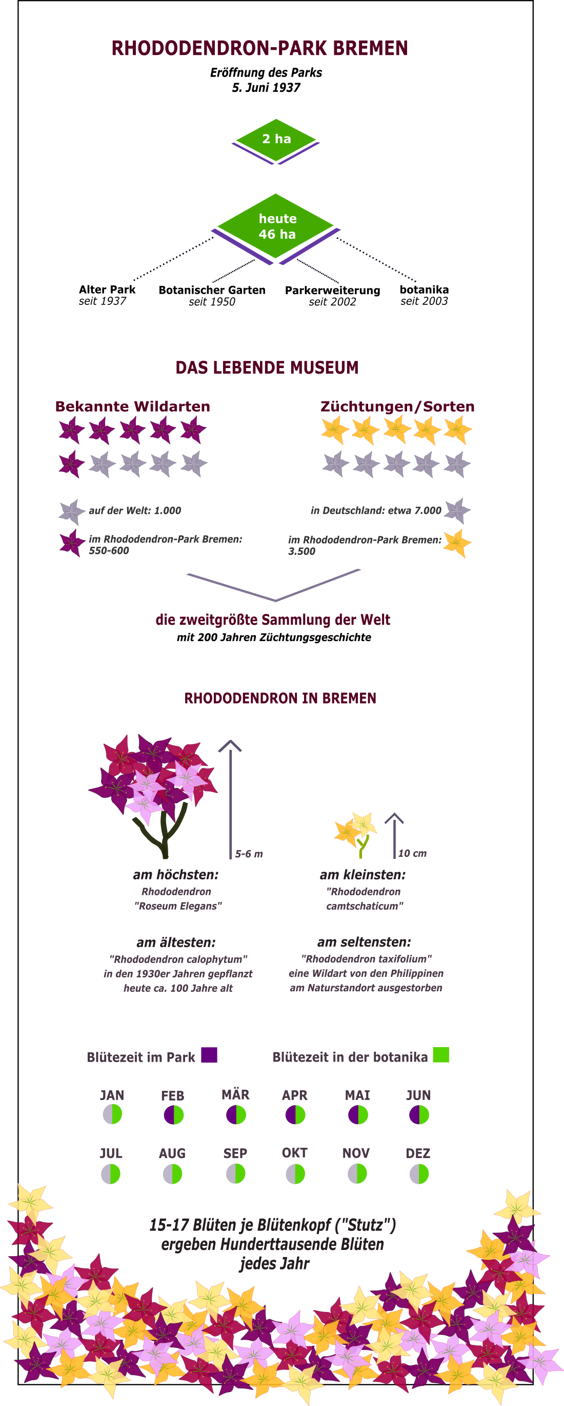 Pflanzenvielfalt und Blütezeit im Rhododendronpark grafisch dargestellt