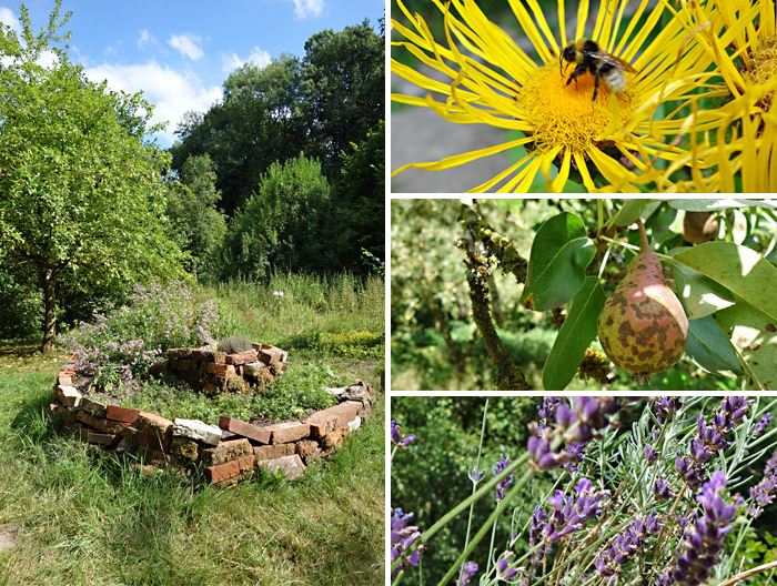 Collage: Garten mit Blumen für Bienen, Birnenbaum und Kräuterpflanzen